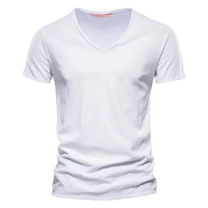 Men's Premium Slim V-Neck T-Shirt
